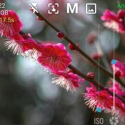 Best 10 Free Photography Apps for Android